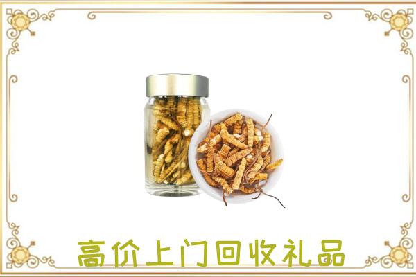 益阳周边回收虫草